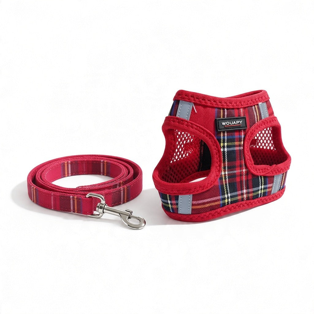 Harnais Wouapy rouge à carreaux écossais et laisse écossaise assortie déployée avec mousqueton, pour petit chien