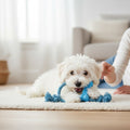 Un petit chiot blanc couché sur un tapis beige à poils courts mâchouille l'os en caoutchouc bleu KONG Puppy Goodie Bone. À ses côtés, une femme blonde souriante est allongée sur le côté et interagit doucement avec lui. L'arrière-plan lumineux montre un salon avec un canapé gris et un panier en osier.