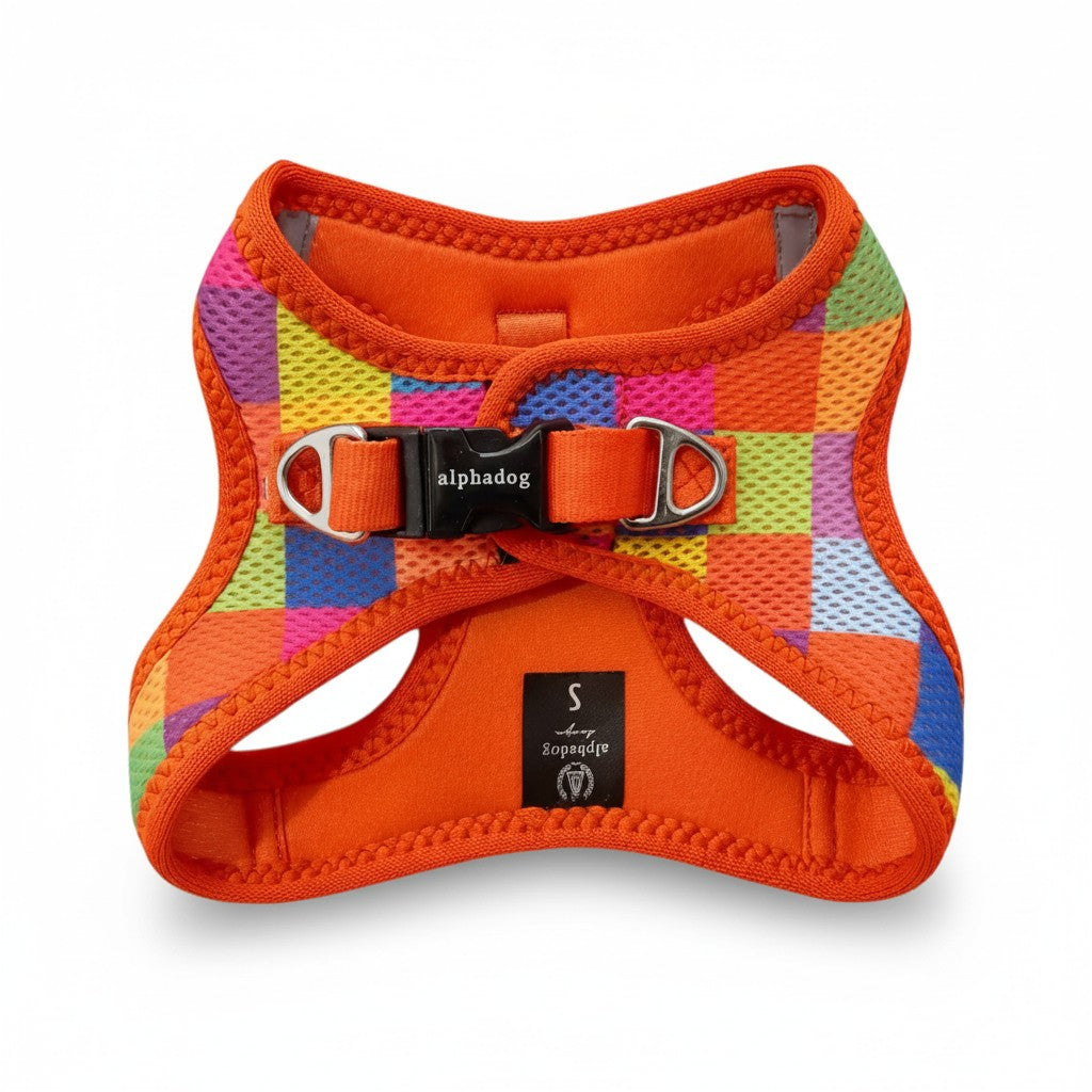 Dos du harnais Alphadog multicolore montrant la boucle de fermeture noire Alphadog et les deux anneaux métalliques pour laisse, taille S