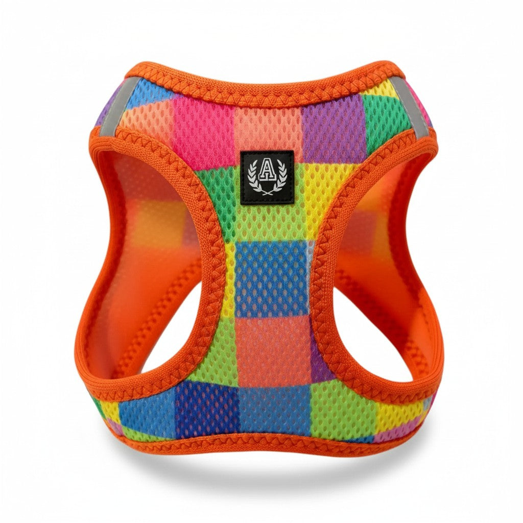 Harnais pour chien Alphadog Colorbox motif damier multicolore orange rose vert bleu, vue de face sur fond blanc