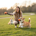 Une jeune femme souriante est accroupie sur une pelouse verte et utilise un lanceur de balle pour jouer avec deux chiens de race Corgi. Le chien au premier plan court joyeusement avec une balle orange et noire dans la gueule, tandis que le second Corgi attend en arrière-plan. L'action se déroule dans un grand parc arboré lors d'une fin d'après-midi lumineuse.