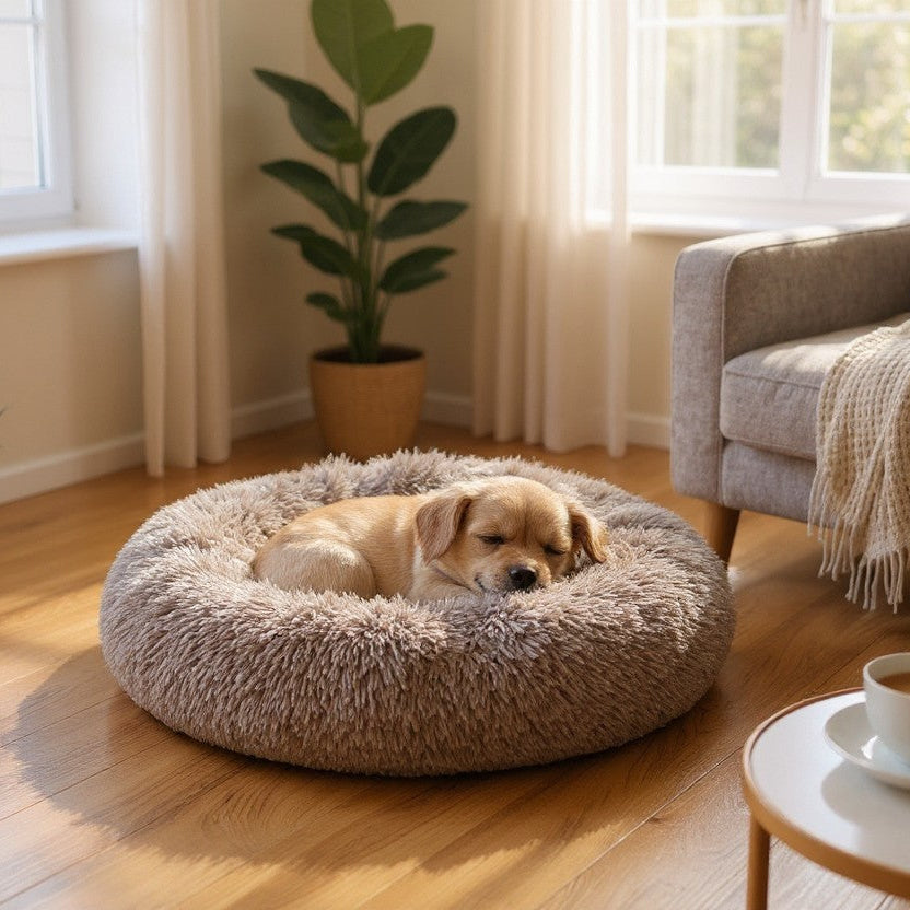 Petit chien endormi dans un lit rond taupe moelleux installé dans un salon lumineux.