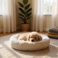 Petit chiot endormi dans un lit rond écru moelleux installé sur un tapis dans un salon lumineux.