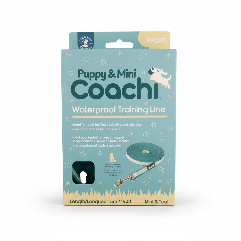Emballage de la longe de dressage waterproof Coachi Puppy & Mini, coloris Mint & Teal, longueur 5 mètres, avec photo du produit enroulé et mousqueton.