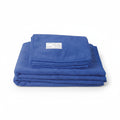 Lot de deux serviettes microfibre bleu roi pour chien, brodées du logo iDeal Dog.