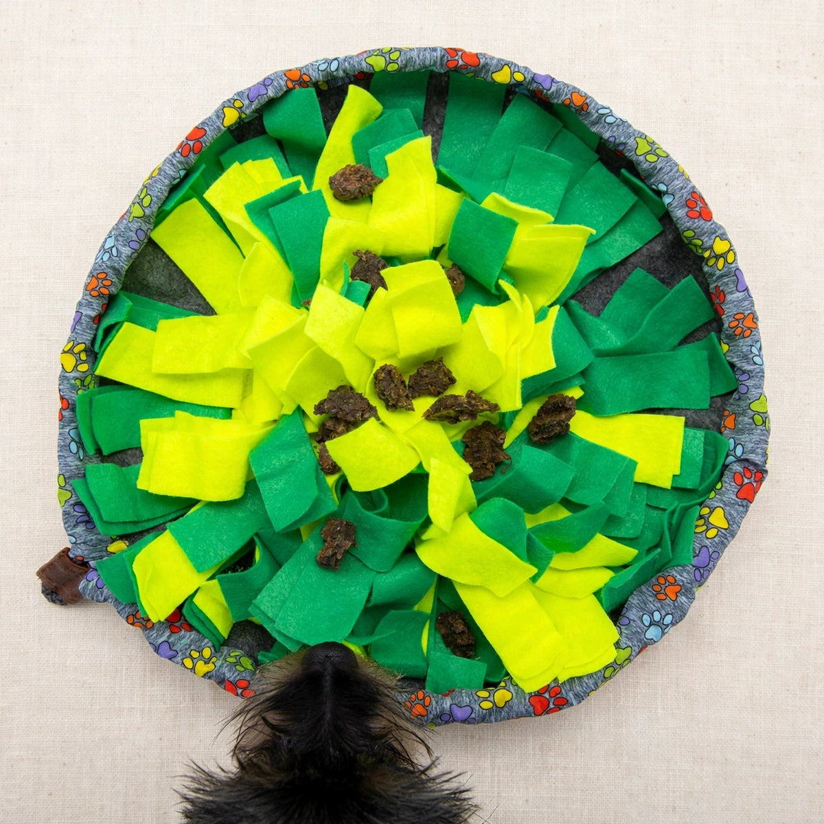 Tapis de fouille garni de friandises brunes cachées entre les lanières vertes et jaunes, museau d'un chien noir approchant pour renifler