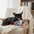 Un petit chien noir et feu, de type Pinscher nain, est couché sur un grand plaid blanc posé sur un fauteuil beige. L'animal maintient et mordille doucement le haut de la tête de la peluche patchwork "Suppa Puppa" de GiGwi. La scène s'intègre dans un salon lumineux au décor épuré, avec une bibliothèque en bois garnie de livres et une plante verte en arrière-plan.